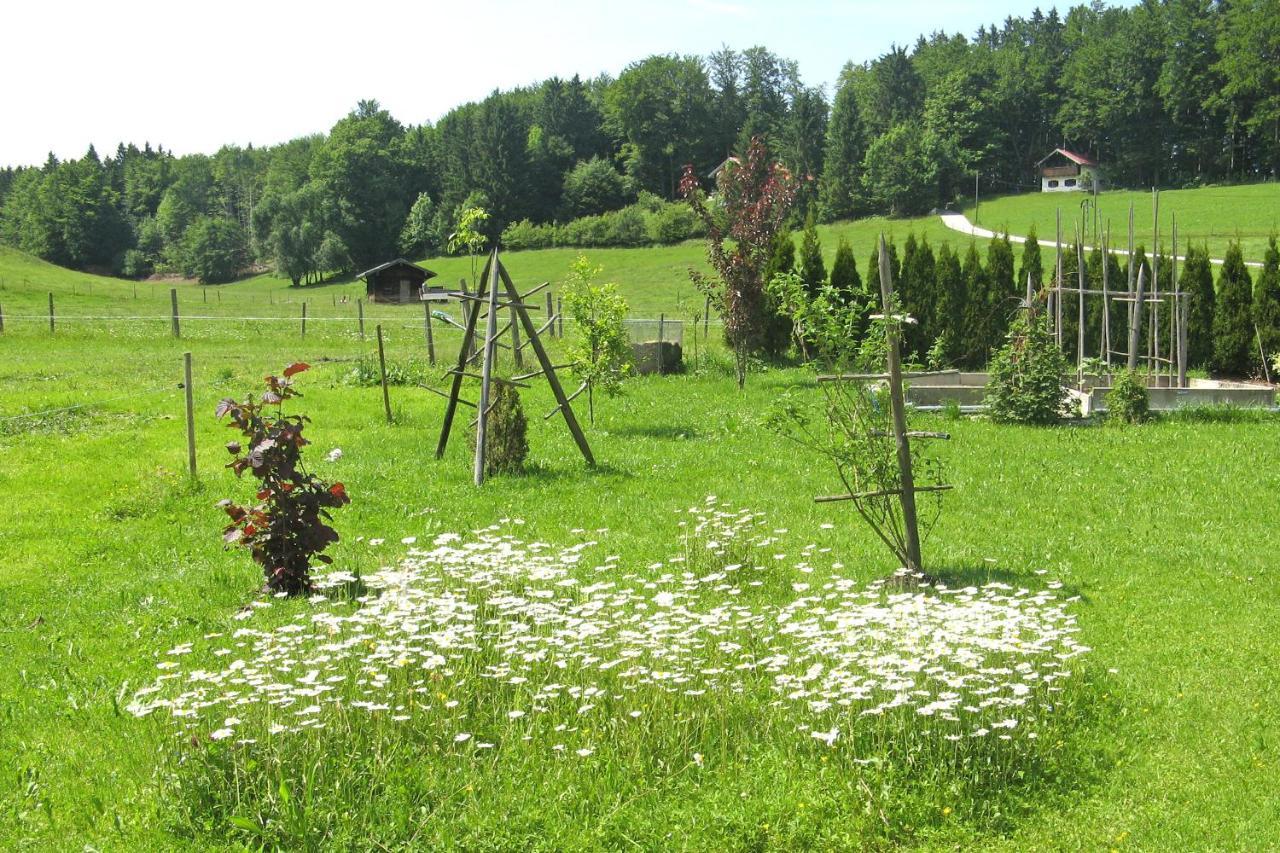 Ferienwohnungen Wanderparadies Aschau im Chiemgau Exterior foto